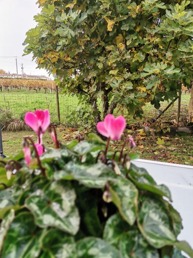 Gite " Suzon" A Peyroutas Vignonet St Emilion ภายนอก รูปภาพ